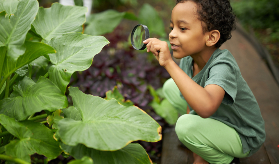A boy looking at a plant with a magnifying glass, illustrating an article about ESG investing jargon