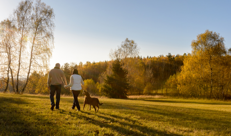 A couple walking a dog in the countryside, illustrating an article on how financial planning can help midlifers