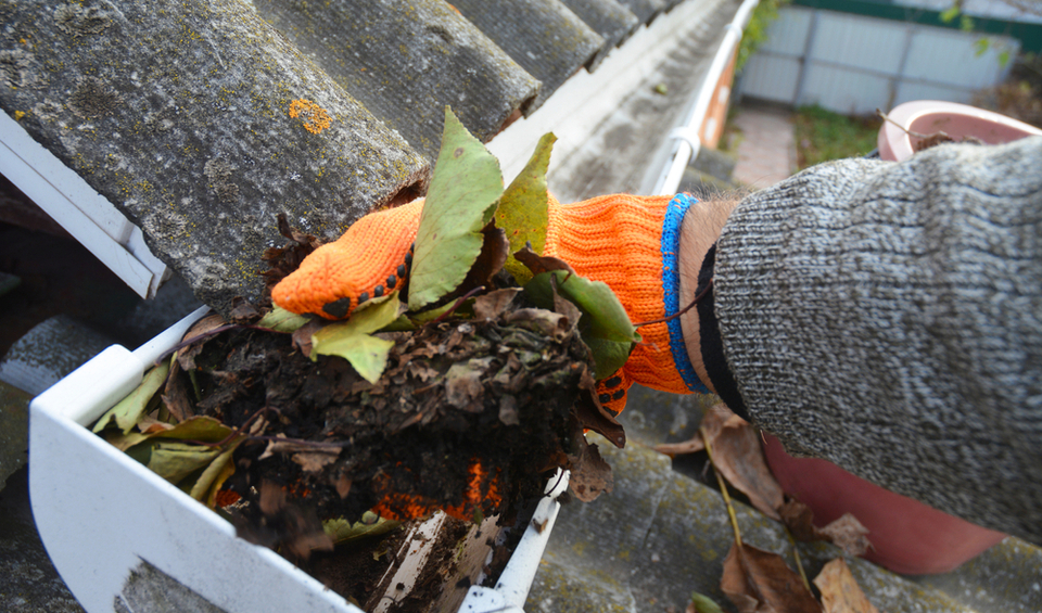Someone scooping debris out of a gutter, illustrating an article on essential autumn jobs